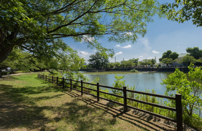 諏訪野町公園