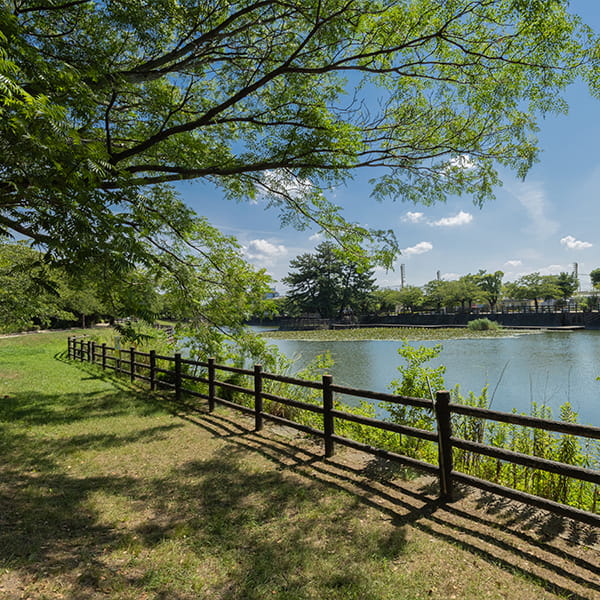 諏訪野町公園